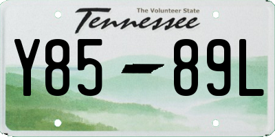 TN license plate Y8589L