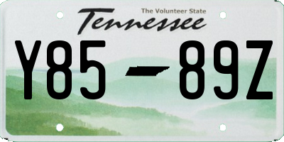 TN license plate Y8589Z