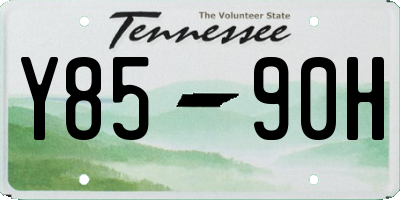 TN license plate Y8590H