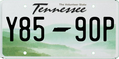 TN license plate Y8590P