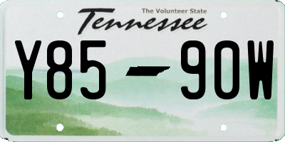 TN license plate Y8590W