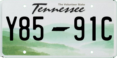 TN license plate Y8591C