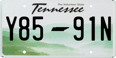 TN license plate Y8591N
