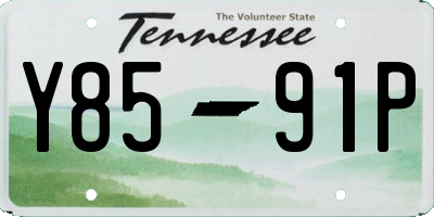 TN license plate Y8591P