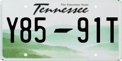 TN license plate Y8591T