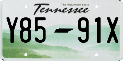 TN license plate Y8591X