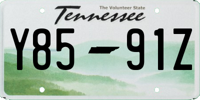TN license plate Y8591Z