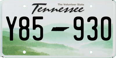 TN license plate Y8593O