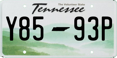 TN license plate Y8593P