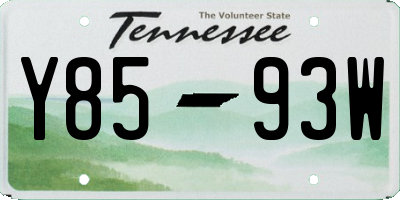 TN license plate Y8593W