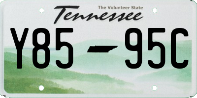 TN license plate Y8595C