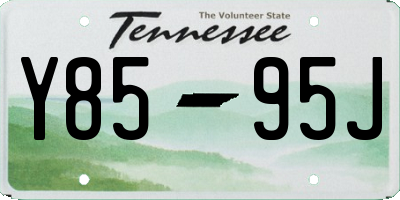TN license plate Y8595J