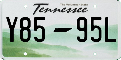 TN license plate Y8595L