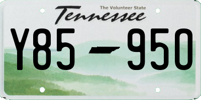 TN license plate Y8595O