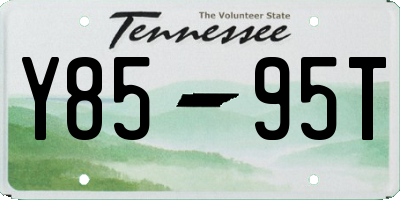 TN license plate Y8595T