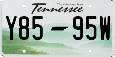 TN license plate Y8595W