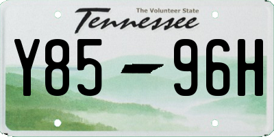 TN license plate Y8596H