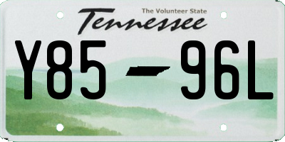 TN license plate Y8596L