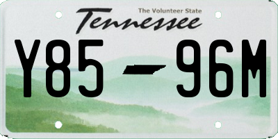 TN license plate Y8596M