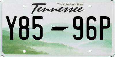 TN license plate Y8596P