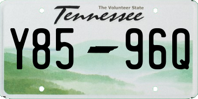 TN license plate Y8596Q