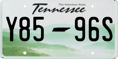 TN license plate Y8596S
