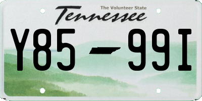 TN license plate Y8599I
