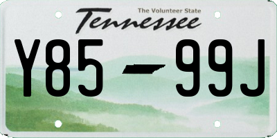 TN license plate Y8599J