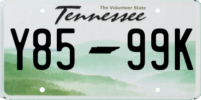 TN license plate Y8599K