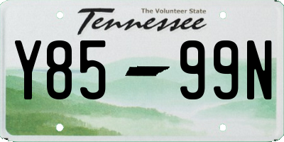 TN license plate Y8599N