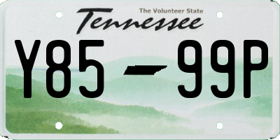 TN license plate Y8599P