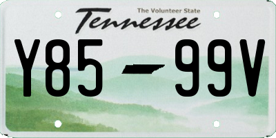 TN license plate Y8599V