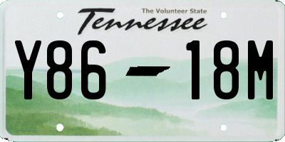 TN license plate Y8618M