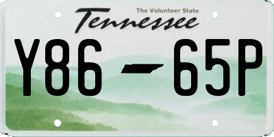 TN license plate Y8665P