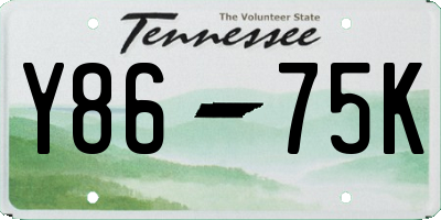 TN license plate Y8675K