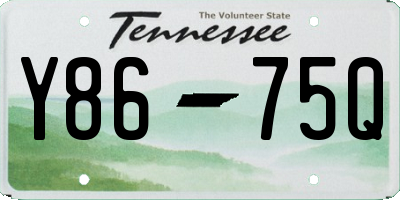 TN license plate Y8675Q