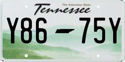 TN license plate Y8675Y