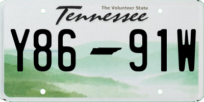 TN license plate Y8691W