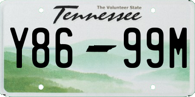 TN license plate Y8699M