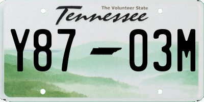 TN license plate Y8703M