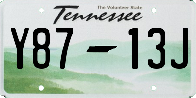 TN license plate Y8713J
