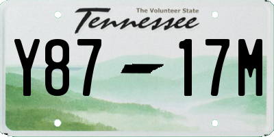 TN license plate Y8717M