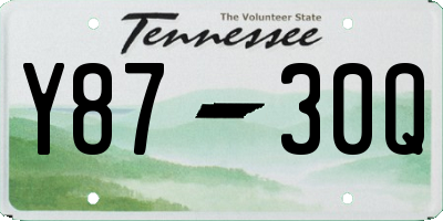 TN license plate Y8730Q