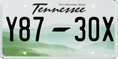 TN license plate Y8730X