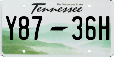 TN license plate Y8736H