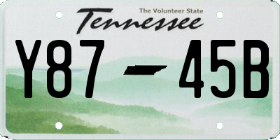 TN license plate Y8745B