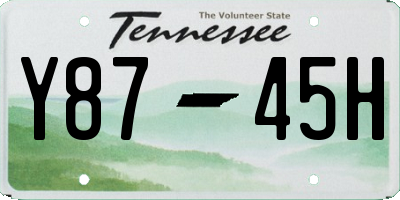 TN license plate Y8745H