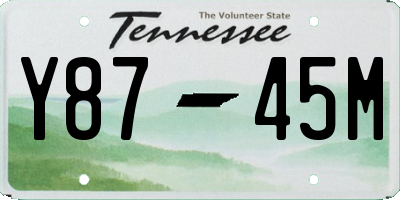 TN license plate Y8745M