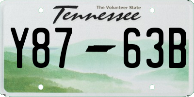 TN license plate Y8763B