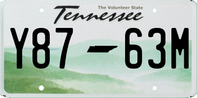 TN license plate Y8763M